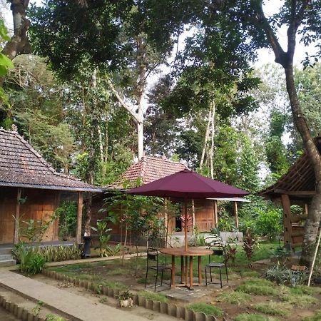 Omah Kayu Jagalan Hotel Magelang Exterior foto